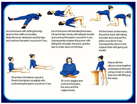 Kegel Exercise Chart